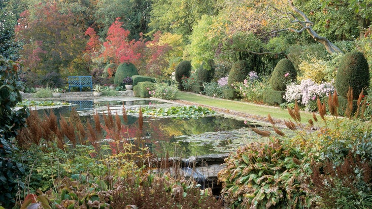 A view of The Dye Pool in autumn showing topiary and lilies at The Courts Garden, Wiltshire